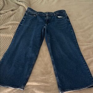 American Eagle Outfitters Dark Blue Flare Jeans